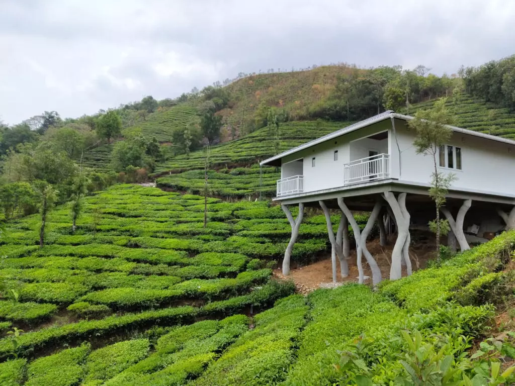 Vagamon  